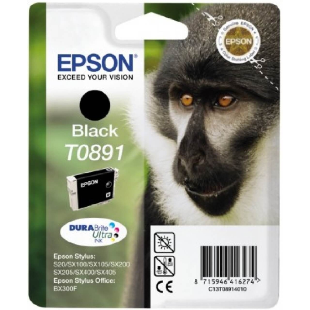 Original Epson Tintenpatrone C13T08914011 / T0891 Schwarz